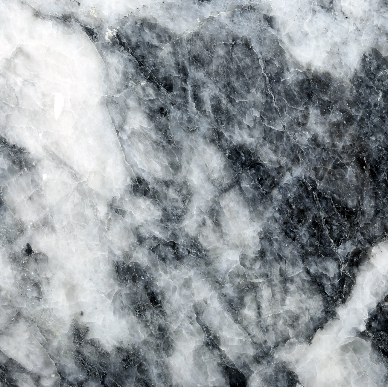 Shadow Grey Edition Klassik